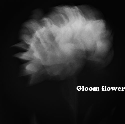 Gloom Flower