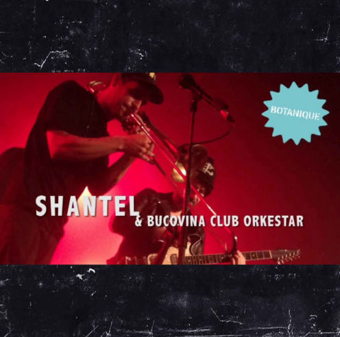 SHANTEL Promo Concert